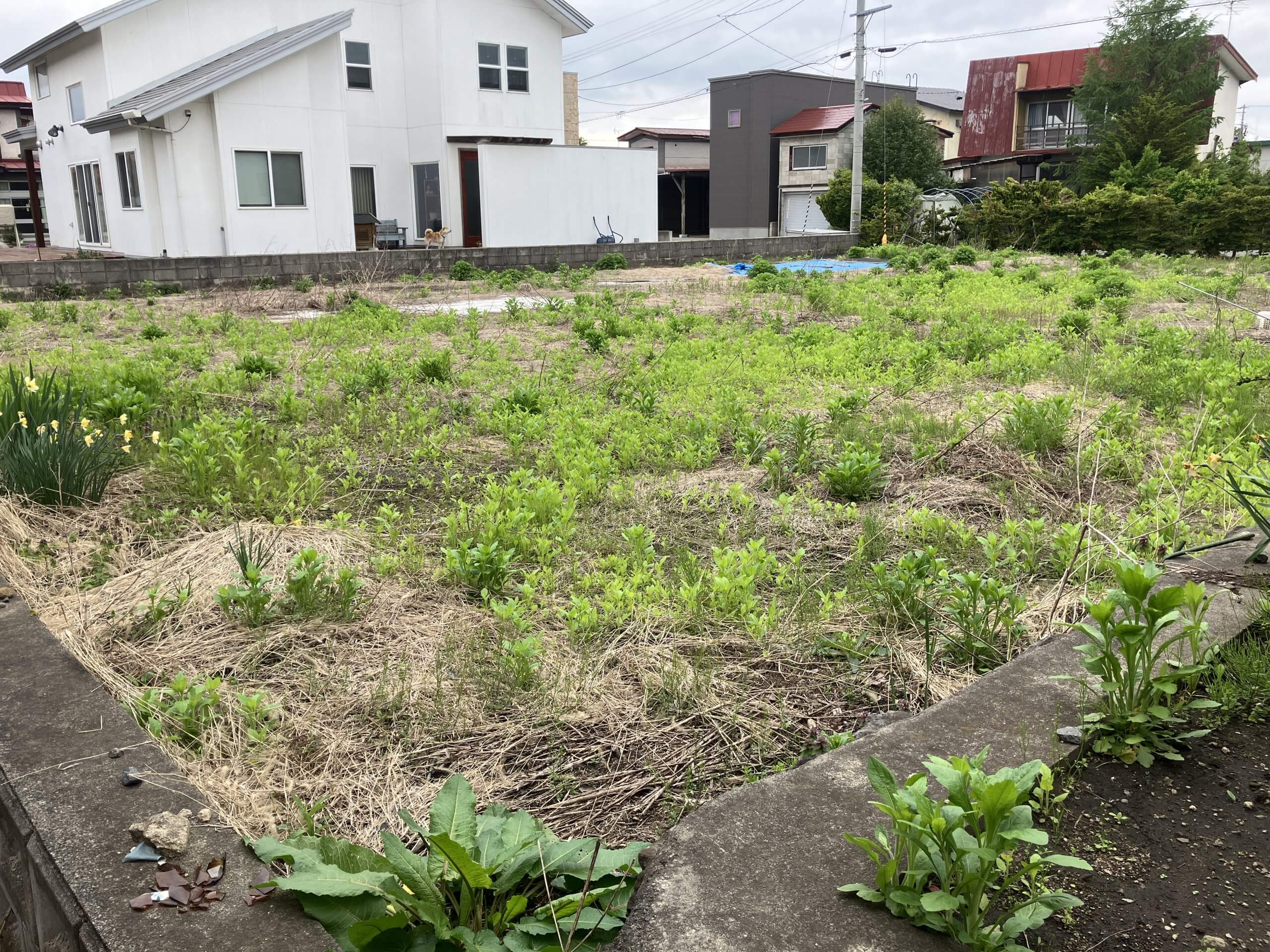 平川市高木原富売地_0