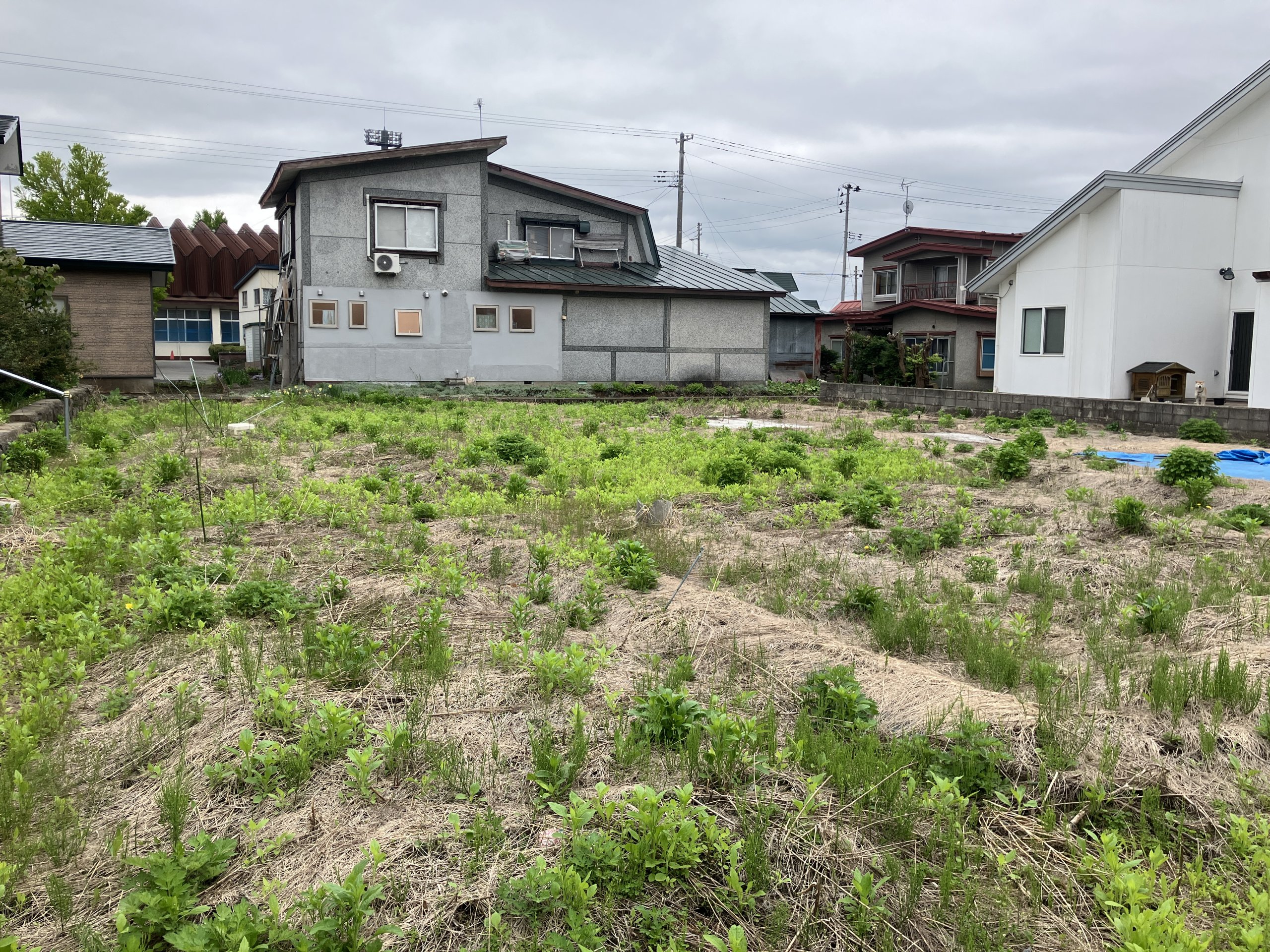 平川市高木原富売地_1