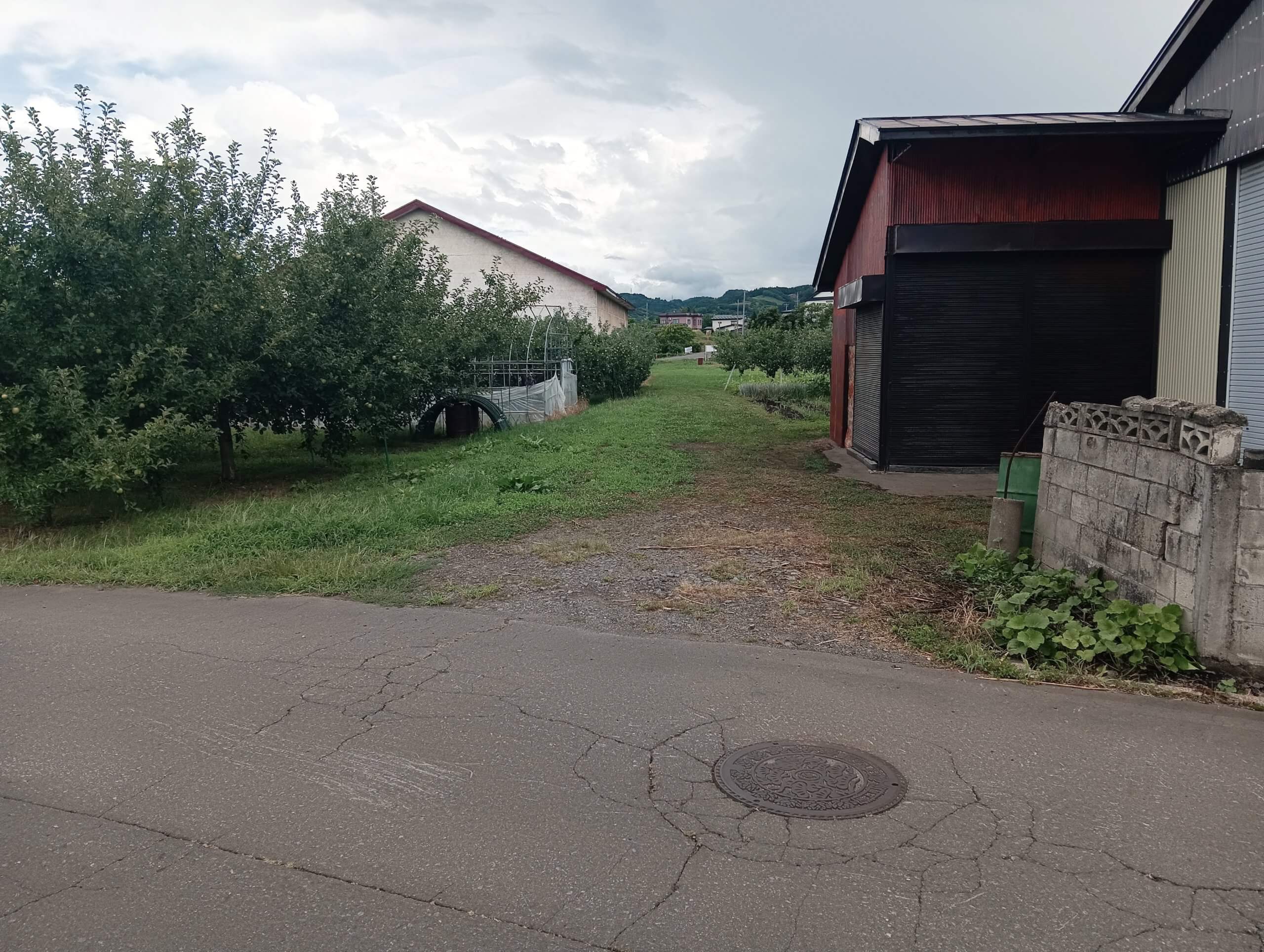 平川市李平下安原(すももだいしもやすはら)_3